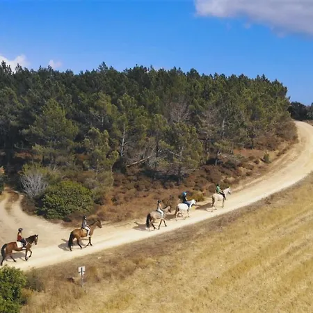 Russo Surf - Vale Figueiras 리조트 *