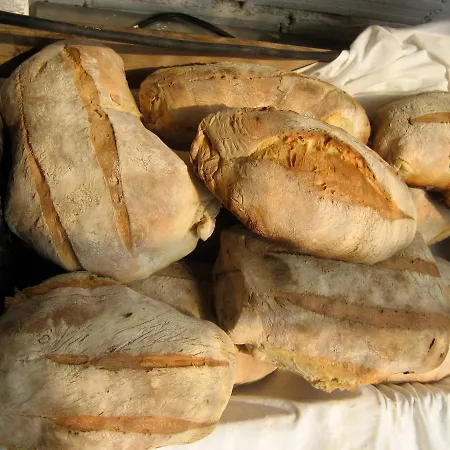 Russo Surf - Vale Figueiras Aljezur